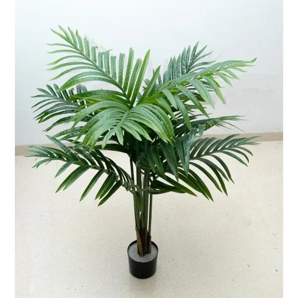 Palmita areca 100 cm con maceta
