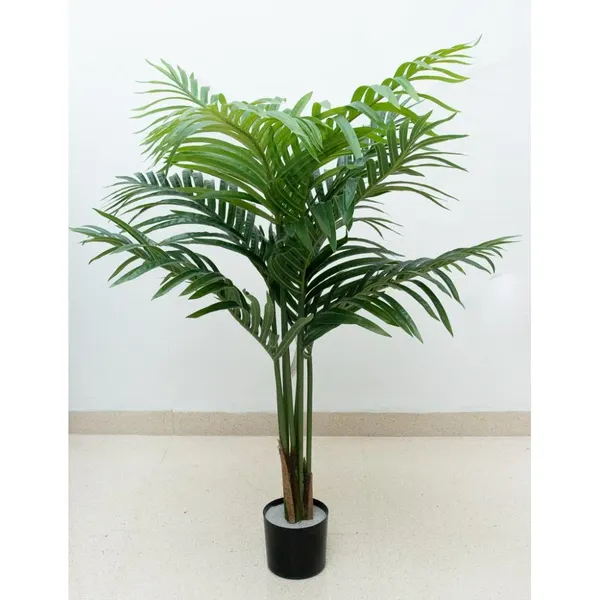 Palmita areca 100 cm con maceta