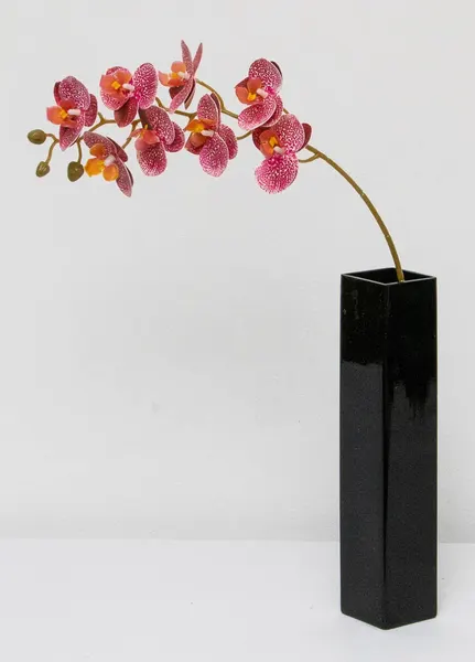 Orquídea phalaenopsis de 8 flores, 80cm largo