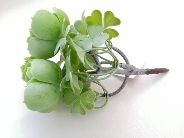 Planta de suculenta 22cm de altura