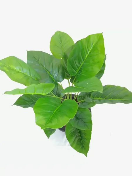 Planta verde deluxe 69cm
