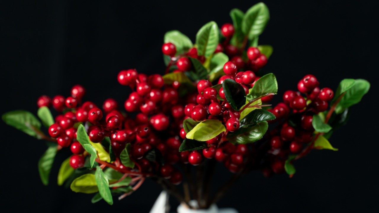 Racimo de cherries 25cm largo x 6 varas