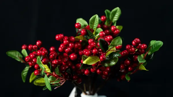 Racimo de cherries 25cm largo x 6 varas