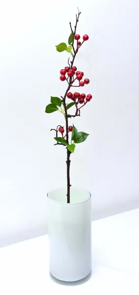 Vara de cherries 53cm