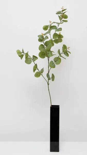 Vara de eucalipto 88cm, color verde-rojizo y cenizo