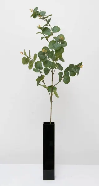 Vara de eucalipto 88cm, color verde-rojizo y cenizo