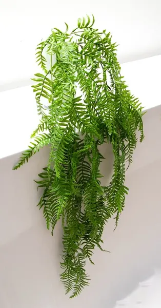 Colgante helecho espada 100cm