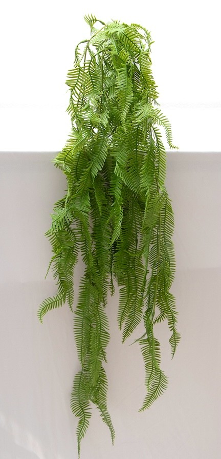 Colgante helecho serrucho 106cm