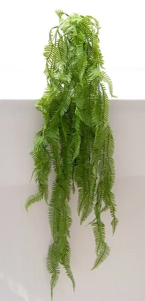 Colgante helecho serrucho 106cm
