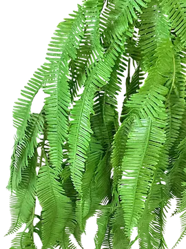 Colgante helecho serrucho 106cm