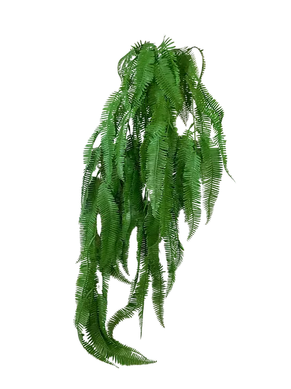 Colgante helecho serrucho 106cm