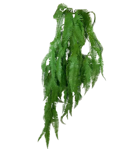 Colgante helecho serrucho 106cm