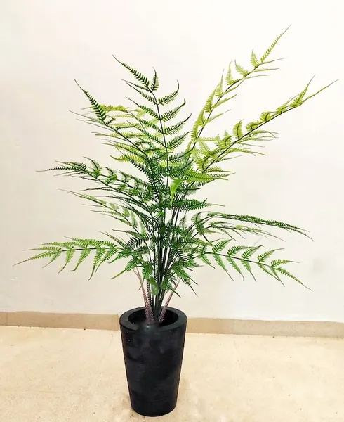 Planta helecho macho 106cm