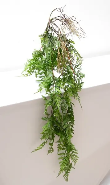 Colgante helecho frágil 110cm