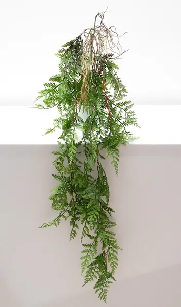 Colgante helecho frágil 110cm