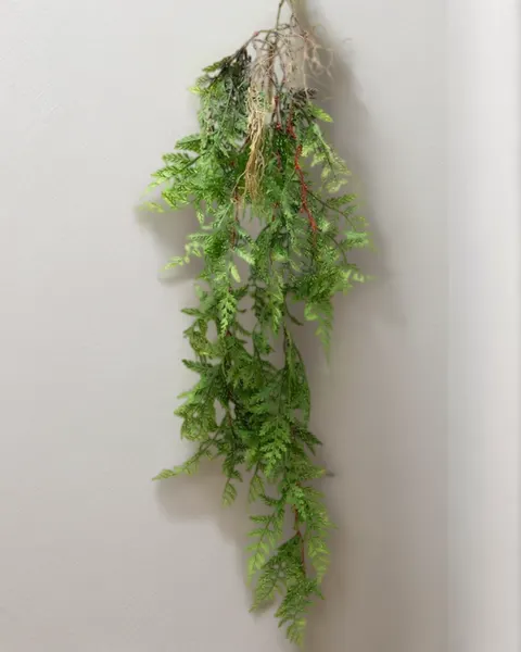 Colgante helecho frágil 110cm