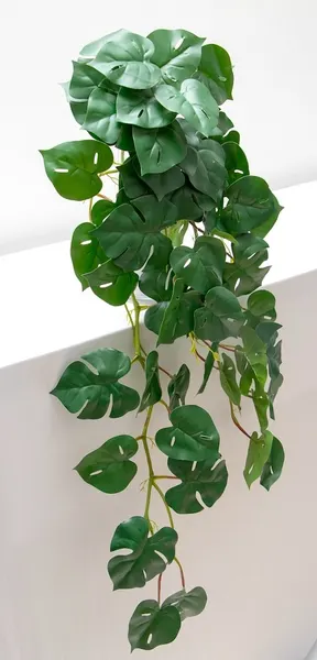 Colgante monstera 80cm soft touch