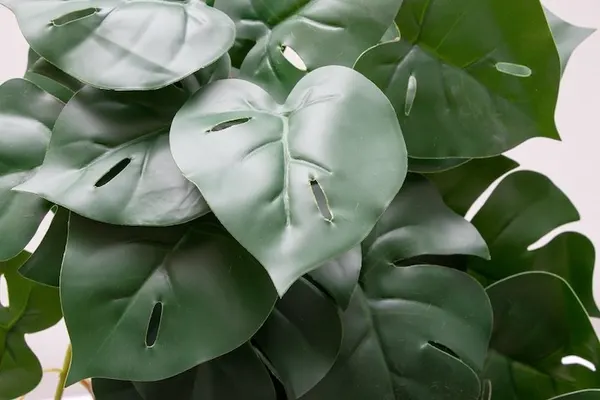 Colgante monstera 80cm soft touch