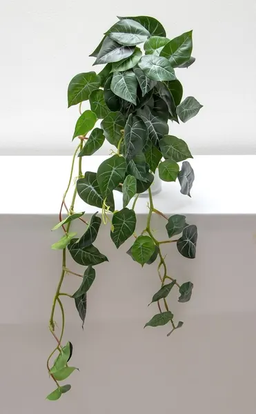 Colgante philodendrom corazón 85cm soft touch