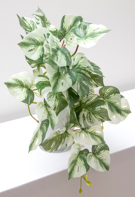 Colgante monstera albina 50cm soft touch