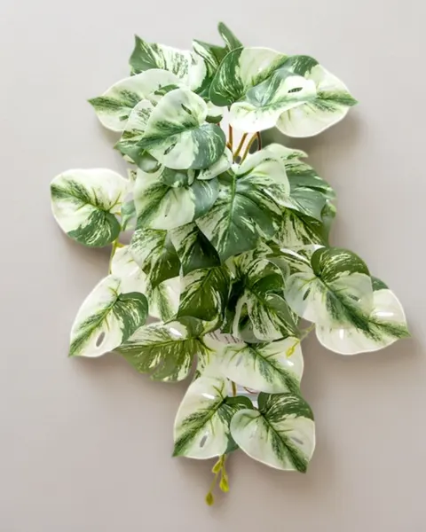 Colgante monstera albina 50cm soft touch