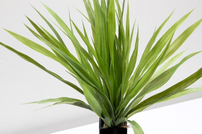 Follaje ember verde 45cm, dos colores