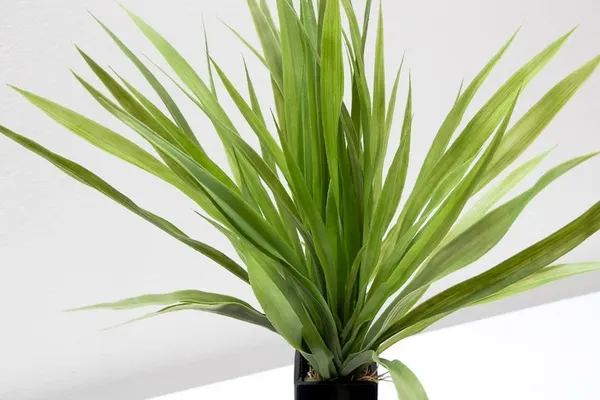 Follaje ember verde 45cm, dos colores