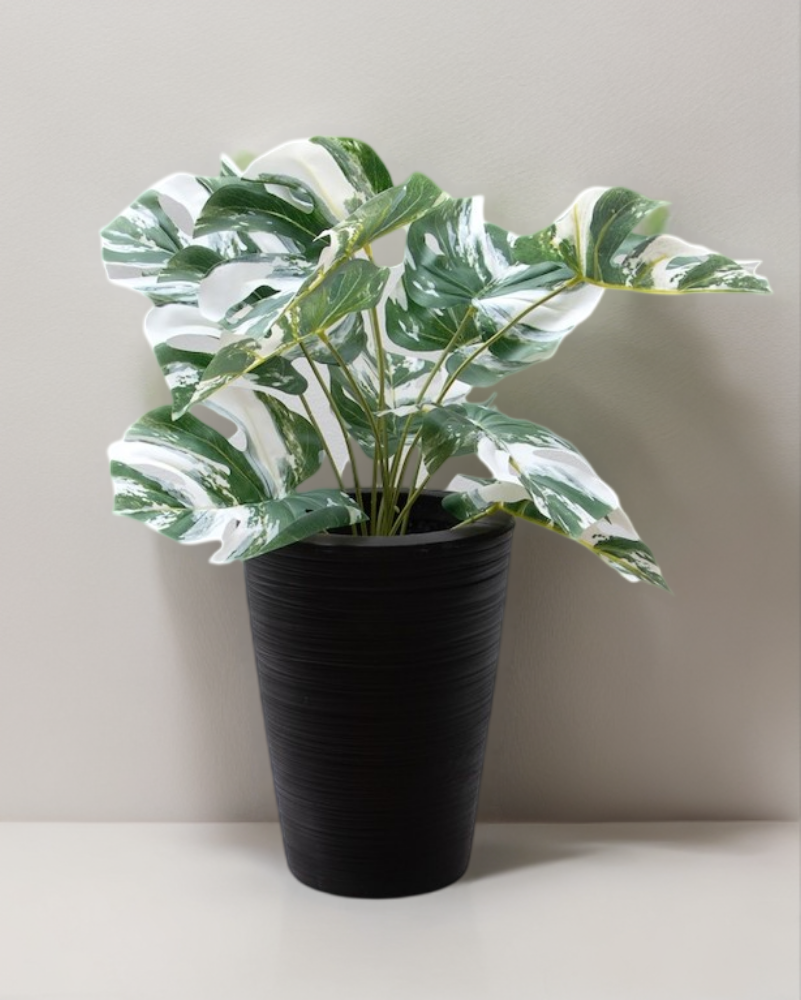 Monstera variegada artificial permanente 52cm