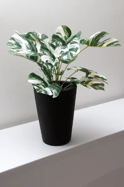 Monstera variegada artificial permanente 52cm