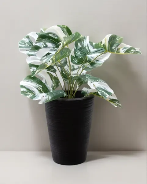 Monstera variegada artificial permanente 52cm