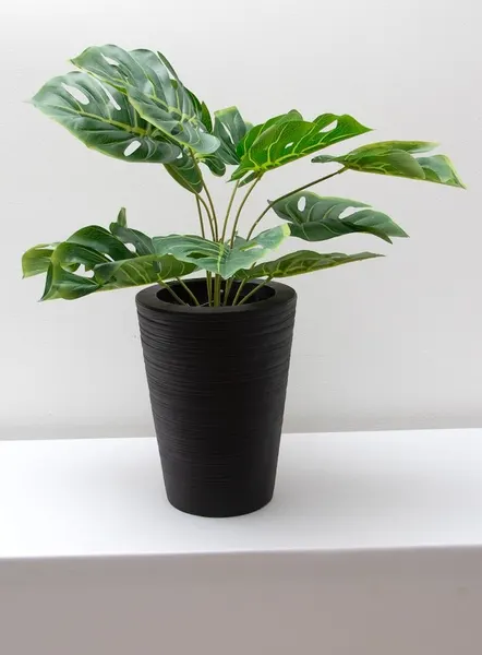 Planta esqueleto 52cm