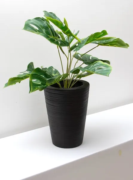 Planta esqueleto 52cm