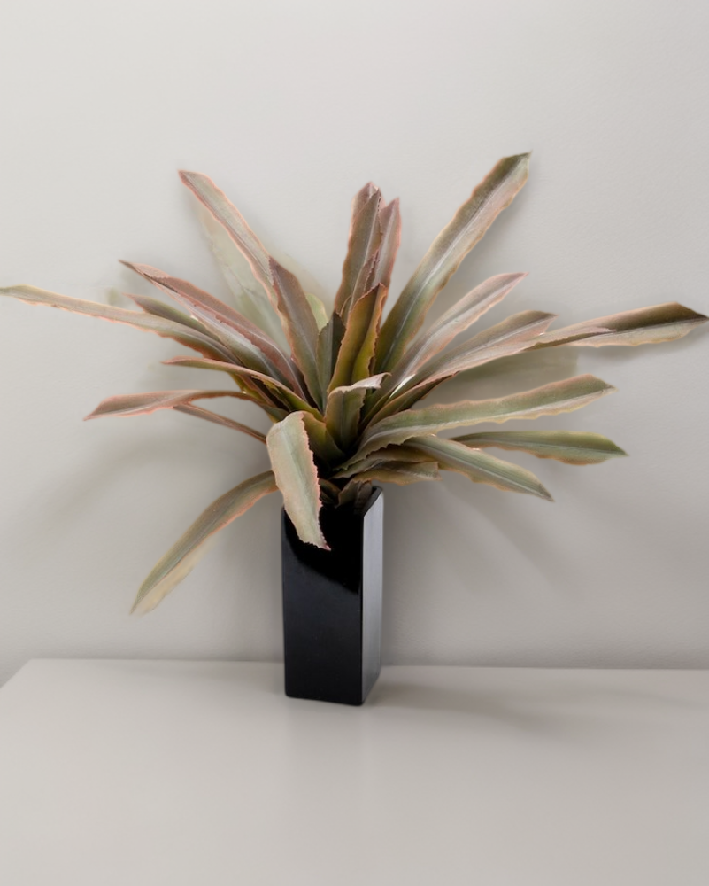 Maguey sisal 40cm, dos colores