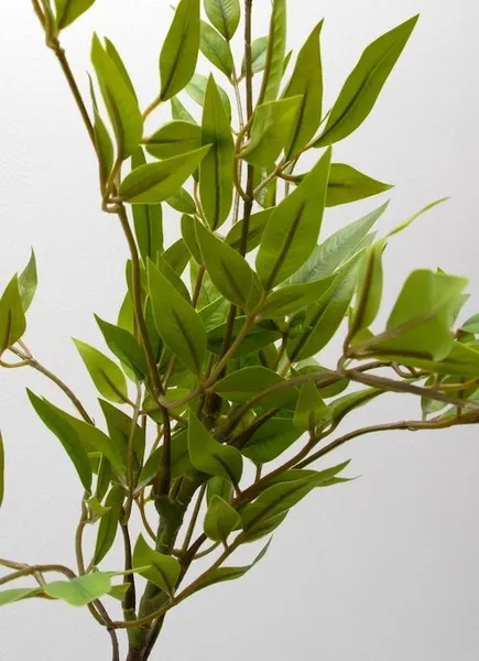 Vara de bambu sagrado 77cm