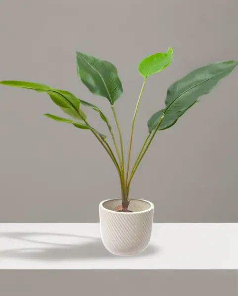 Planta hoja ave del paraíso 79cm