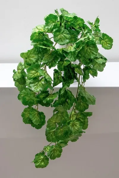 Colgante de geranio 80cm largo, 65 hojas