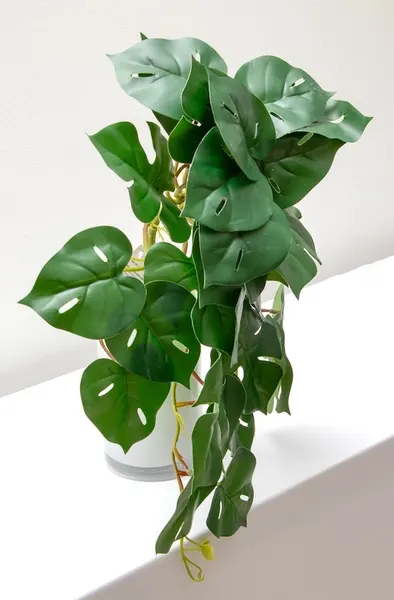 Colgante monstera 50cm largo soft touch