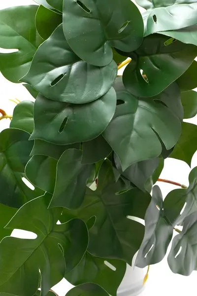 Colgante monstera 50cm largo soft touch