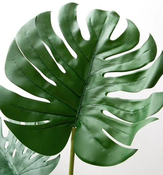 Planta esqueleto 80cm, soft touch