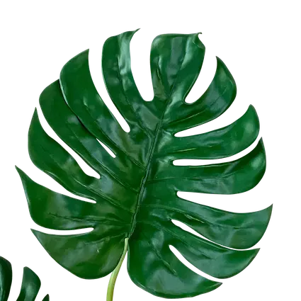 Planta esqueleto 80cm, soft touch