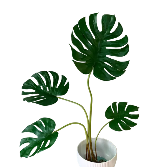 Planta esqueleto 80cm, soft touch