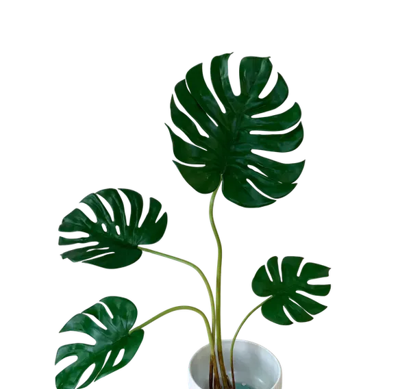 Planta esqueleto 80cm, soft touch