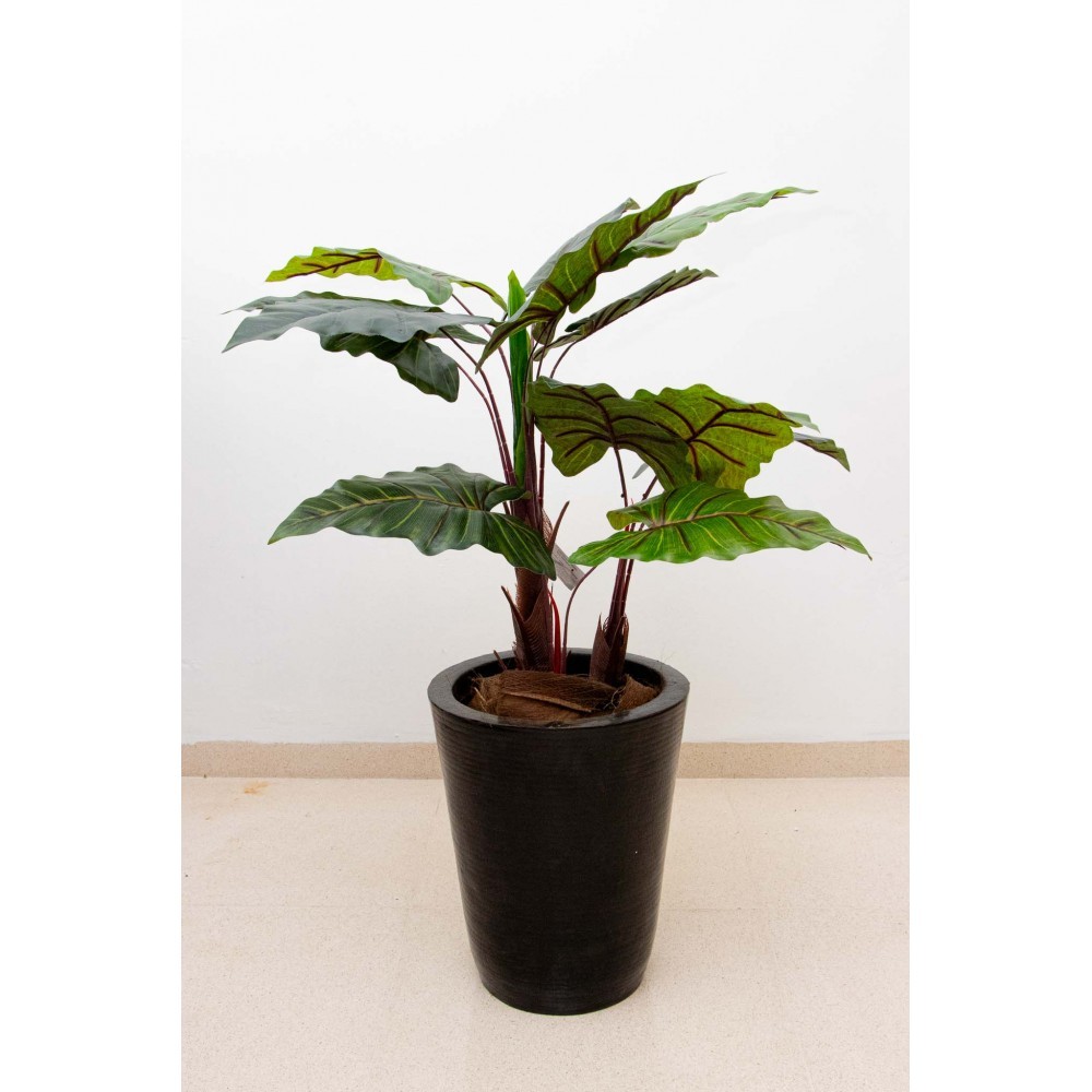 Planta colocasia 100 cm