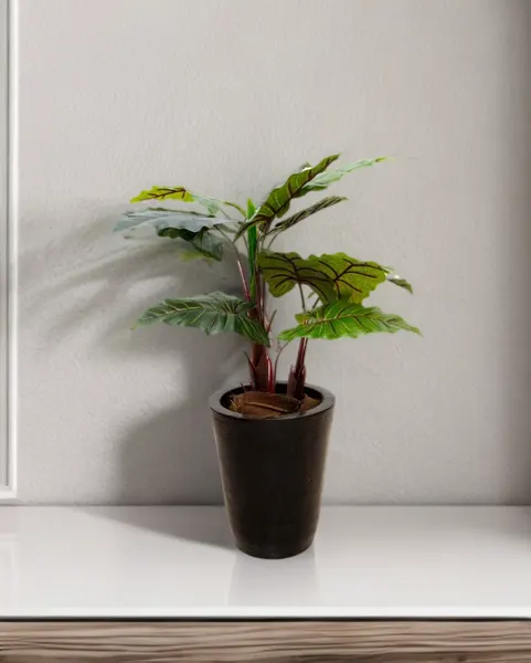 Planta colocasia 100 cm