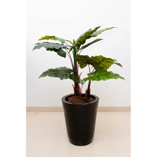 Planta colocasia 100 cm