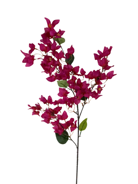 Bugambilia peruviana 100cm, varios colores