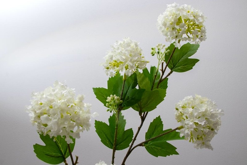 Vara de espumilla 80cm, varios colores