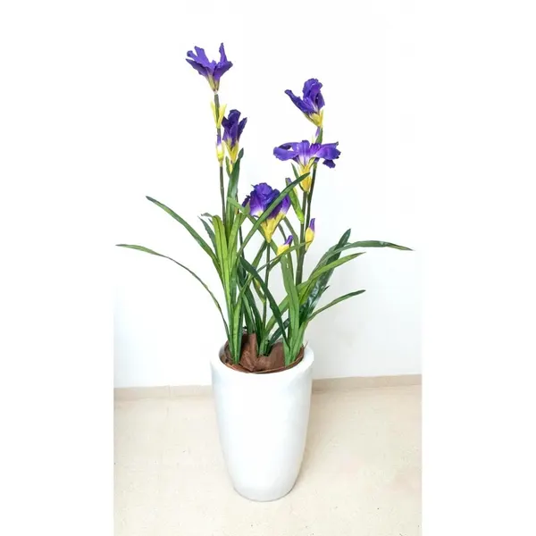 Planta de lirios 100 cm de altura