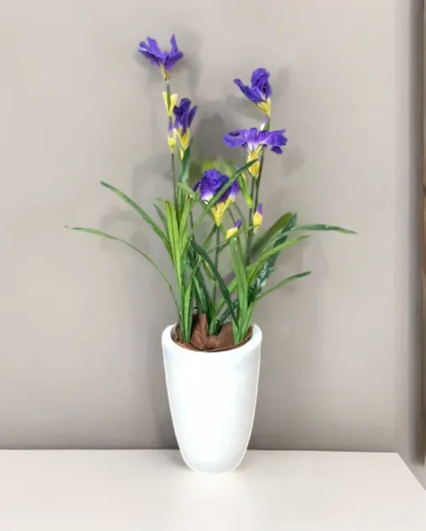 Planta de lirios 100 cm de altura