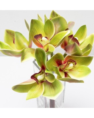 Ramillete de cymbidium, varios colores